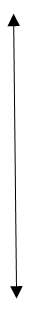 image-20240615-073140.png